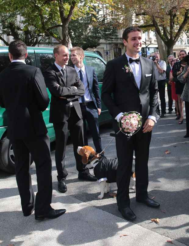 top chef quentin et le chien