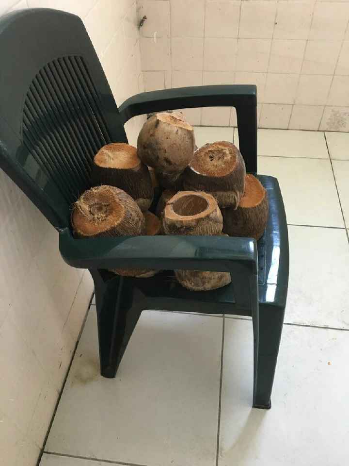 Début de la décoration de mon mariage : thème exotique - 1