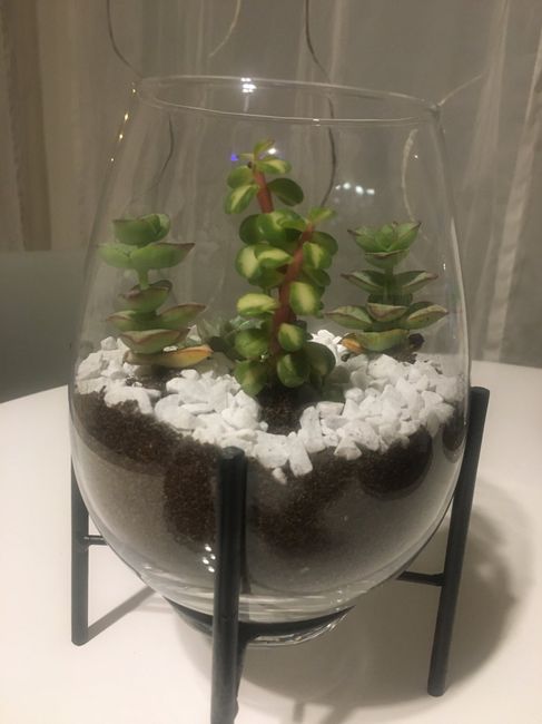 Idée terrarium - vase 2