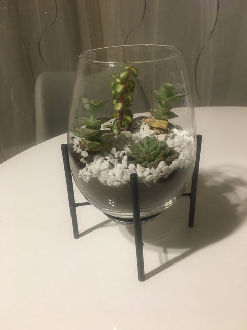 Idée terrarium - vase - 2