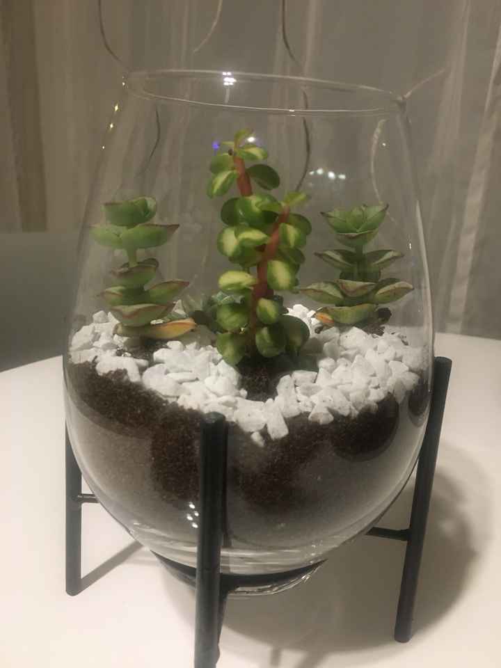 Idée terrarium - vase - 1