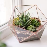 Centre de table terrarium - 1