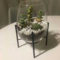 Idée terrarium - vase - 2
