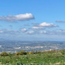 Élodie