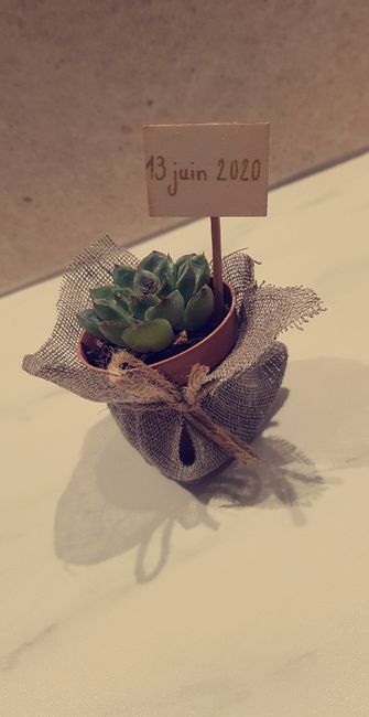 Succulentes - cadeaux invités - 1