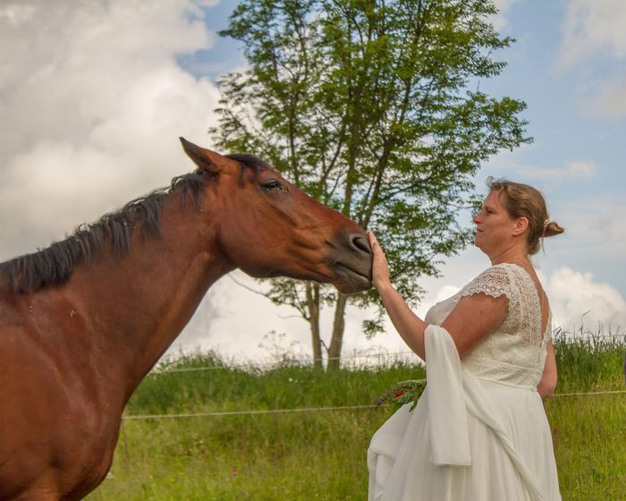 Arrivée cérémonie à cheval 2