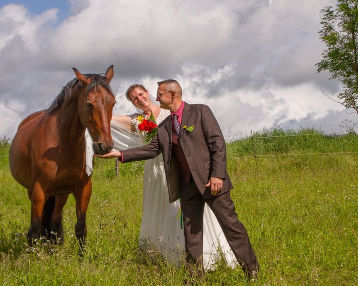 Arrivée cérémonie à cheval 3