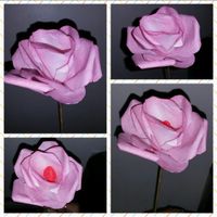 fleurs pour mon mariage 