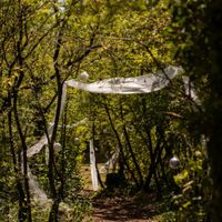 Cérémonie laïque... - 2