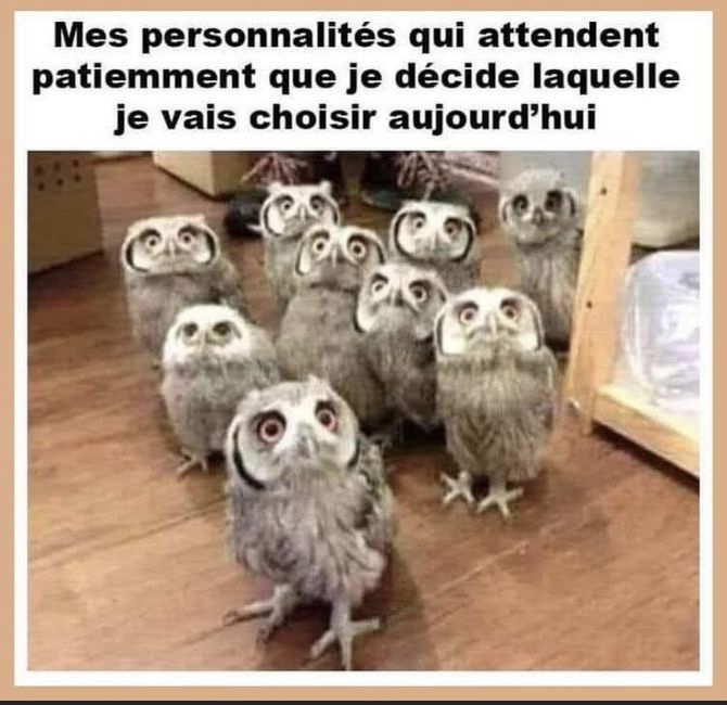 Besoins d'idées contenants bonbons! 14