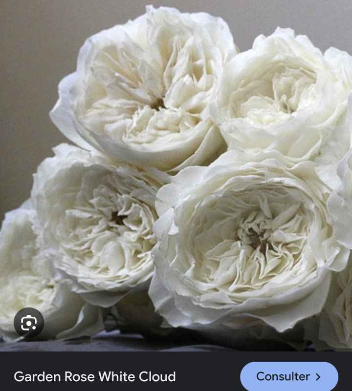 Remplacement des pivoines - 5