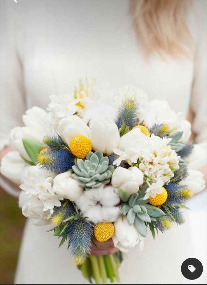 Remplacement des pivoines - 1