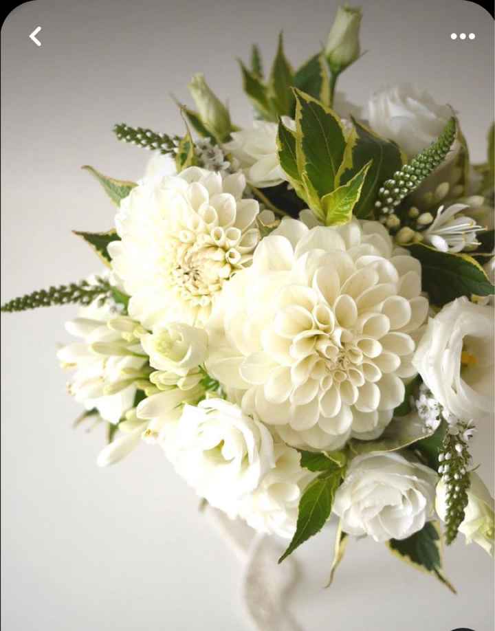 Remplacement des pivoines - 3