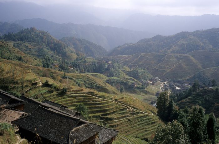 Longji