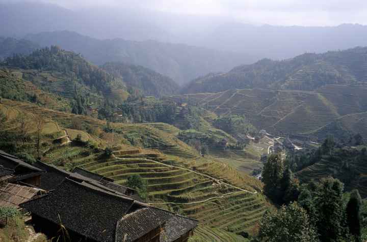 Longji