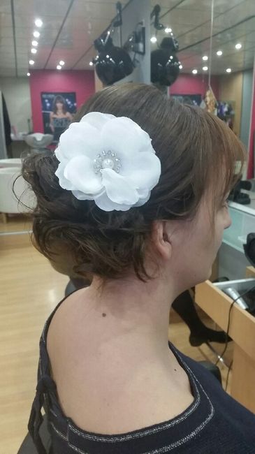 Besoin d'avis accessoire cheveux - 3