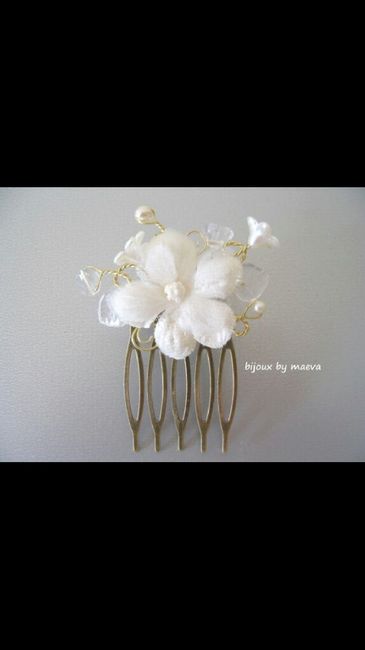 Besoin d'avis accessoire cheveux - 6