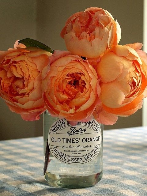 La pivoine