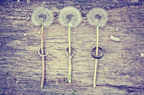 idees-originales-pour-prendre-vos-alliances-en-photos