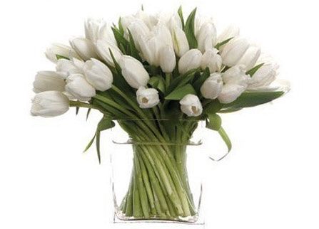 Et pourquoi pas des tulipes?
