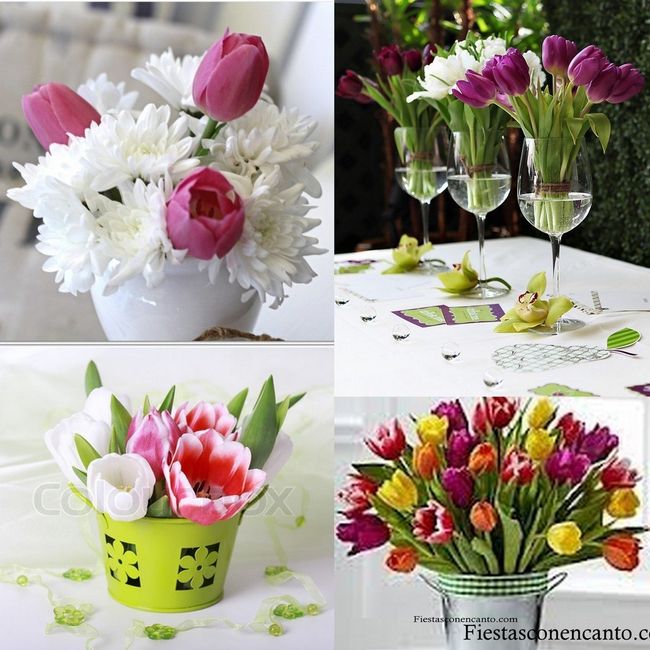 Et pourquoi pas des tulipes?