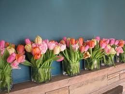 Et pourquoi pas des tulipes?