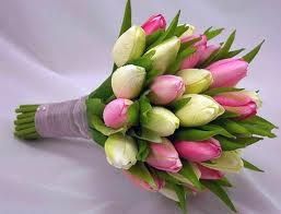 Et pourquoi pas des tulipes?
