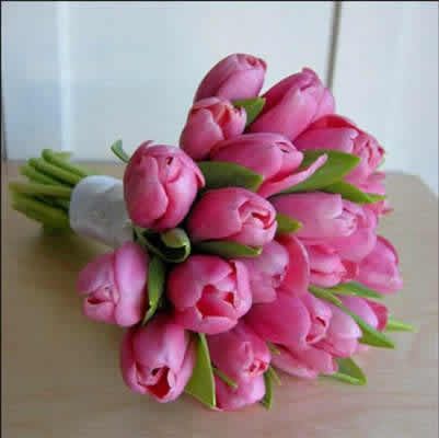Et pourquoi pas des tulipes?