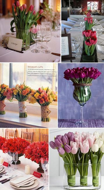 Et pourquoi pas des tulipes?