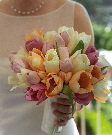 Et pourquoi pas des tulipes?