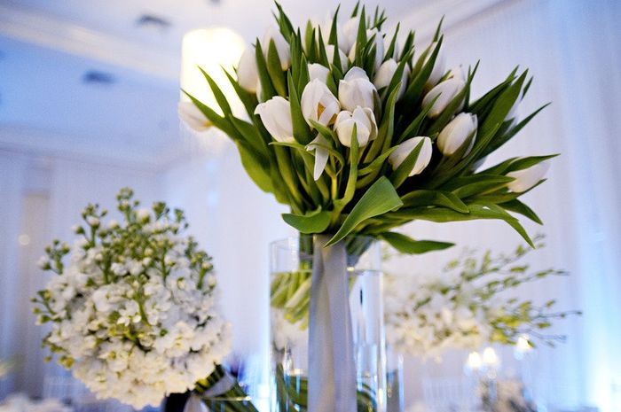 Et pourquoi pas des tulipes?