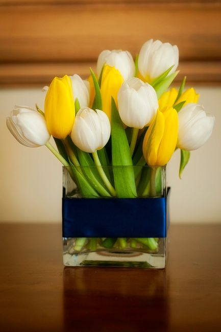 Et pourquoi pas des tulipes?