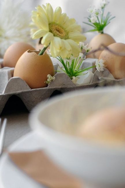 Et si même des coquilles d'oeufs pouvaient vous servir??