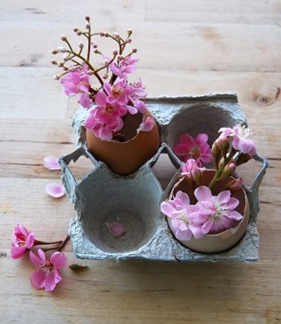 Et si même des coquilles d'oeufs pouvaient vous servir??