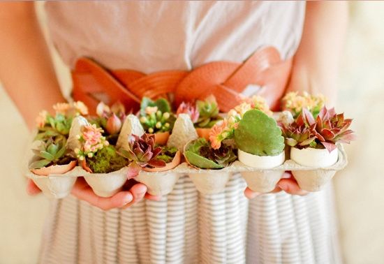 Et si même des coquilles d'oeufs pouvaient vous servir??