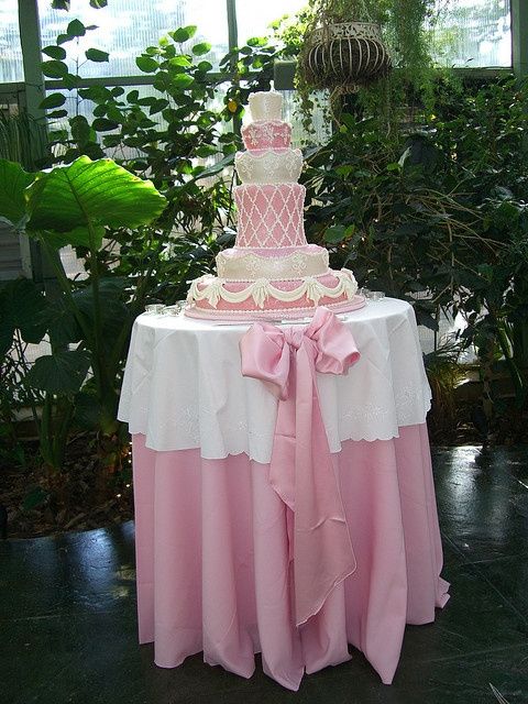 Le club du mariage rose