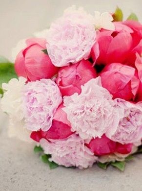 Le club du mariage rose