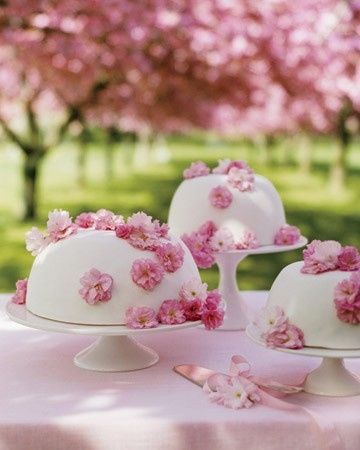 Le club du mariage rose