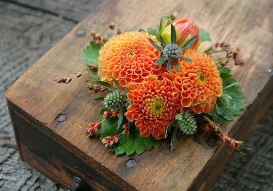 Dahlia