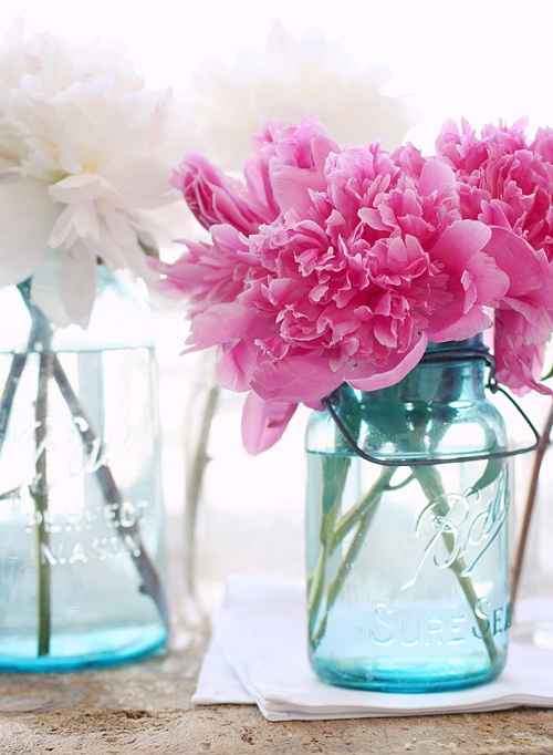 La pivoine