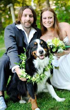 Votre chien à votre mariage?