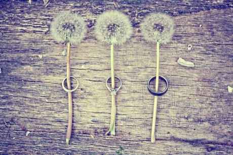 idees-originales-pour-prendre-vos-alliances-en-photos