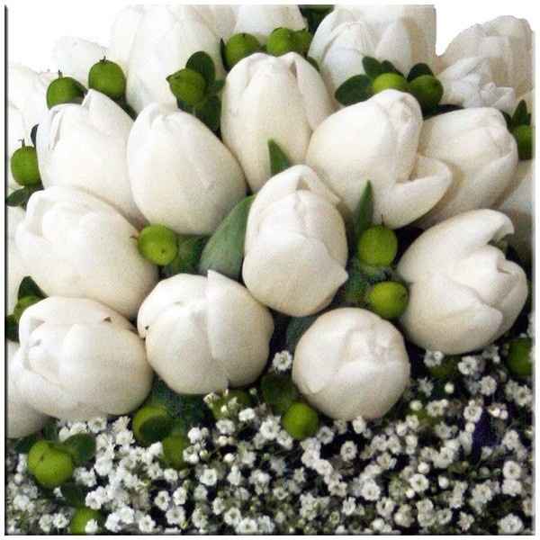 Et pourquoi pas des tulipes?
