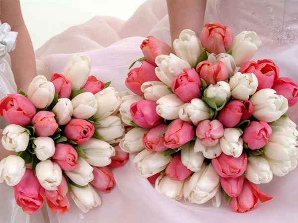 Et pourquoi pas des tulipes?