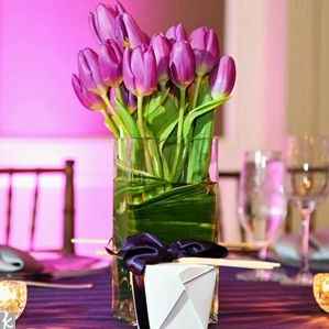 Et pourquoi pas des tulipes?