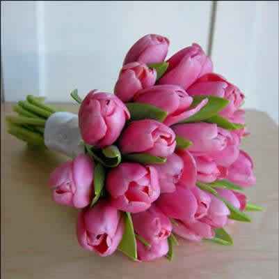 Et pourquoi pas des tulipes?