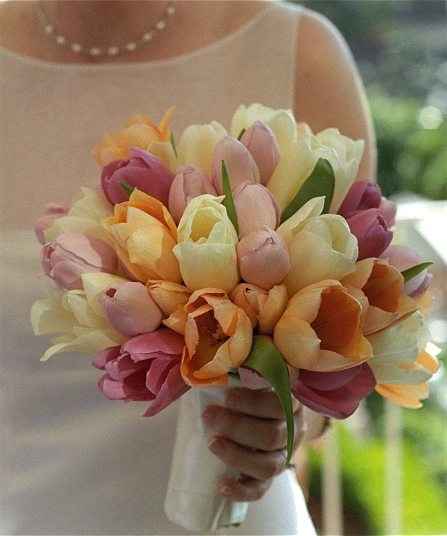 Et pourquoi pas des tulipes?