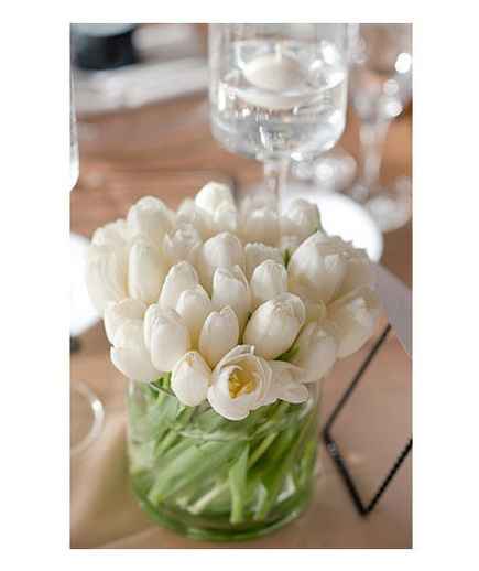 Et pourquoi pas des tulipes?