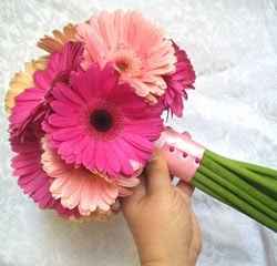 Les gerberas, une excellente option