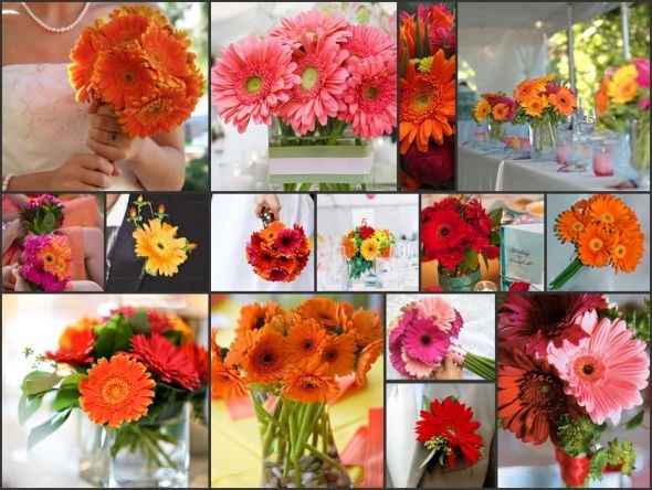 Les gerberas, une excellente option